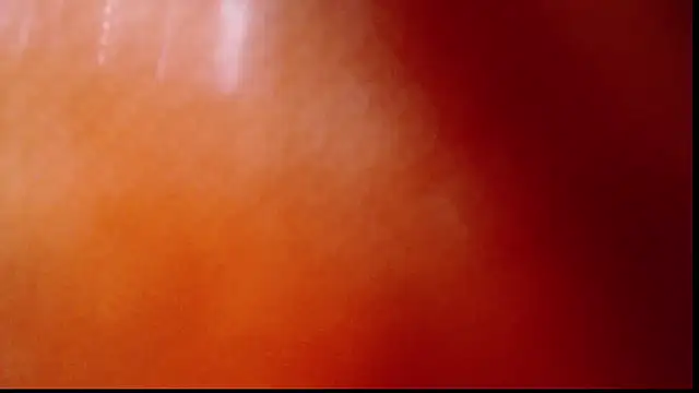 Sallydickinson webcam