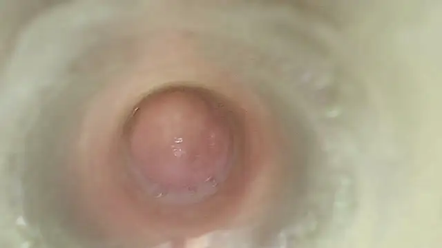karol_stom