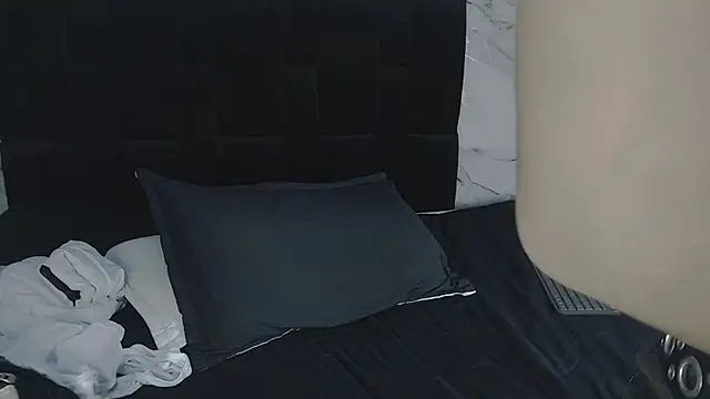 MaximilianRoth webcam