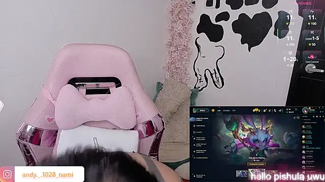 Nami_usagi webcam
