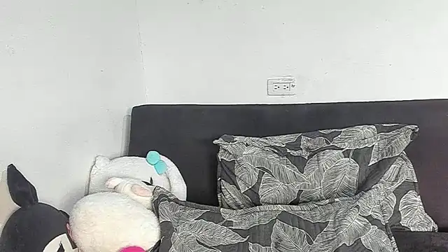 Eirlysx webcam