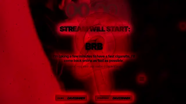 davesinner webcam
