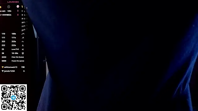 NerixalVire webcam