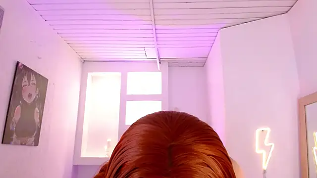 Haddes_as webcam