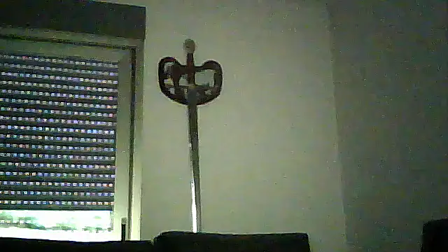 SirFrankonde webcam