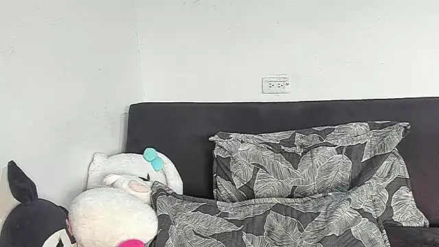 Eirlysx webcam