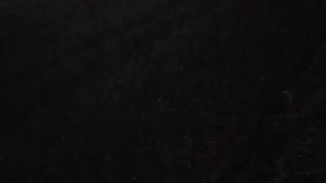 Vuitton webcam