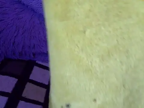 pamelasophia19 webcam