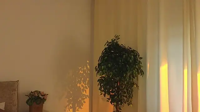 _Selestia_ webcam