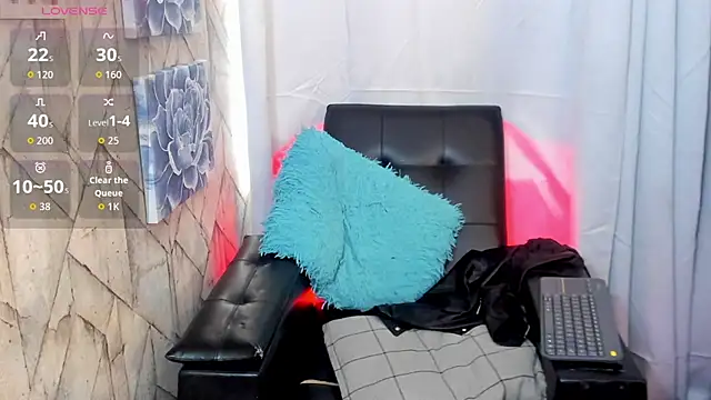 Jaadewest webcam