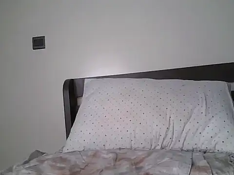 Alevic_ webcam