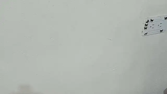 Eirlysx webcam