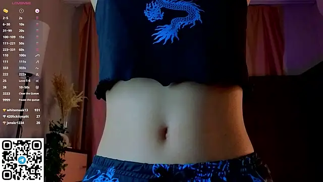 NerixalVire webcam