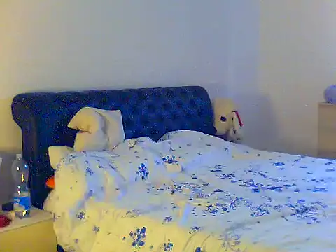 Alaska-perla webcam