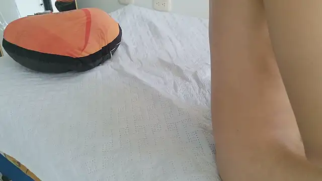 grey___27 webcam