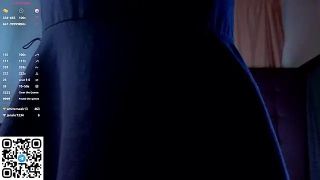 NerixalVire webcam