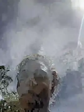 soupypie live sex cam