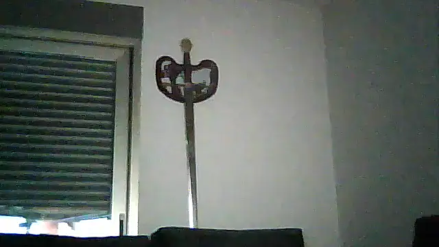 SirFrankonde webcam