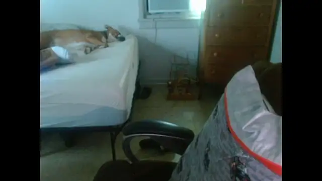 DADDY_KANE8--- webcam