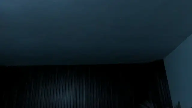 _Cherry_fox webcam