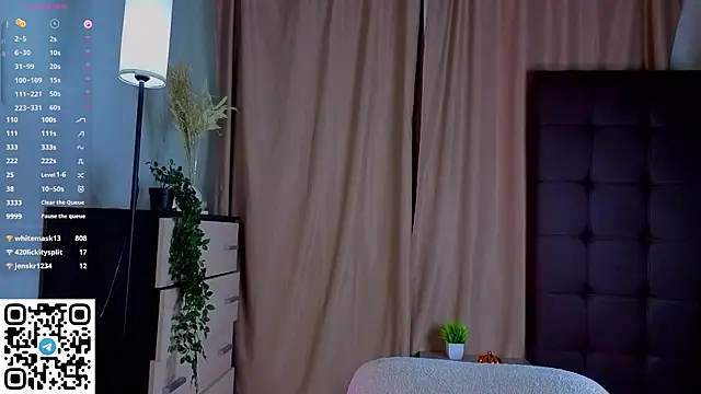 NerixalVire webcam
