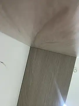 paulys_ webcam