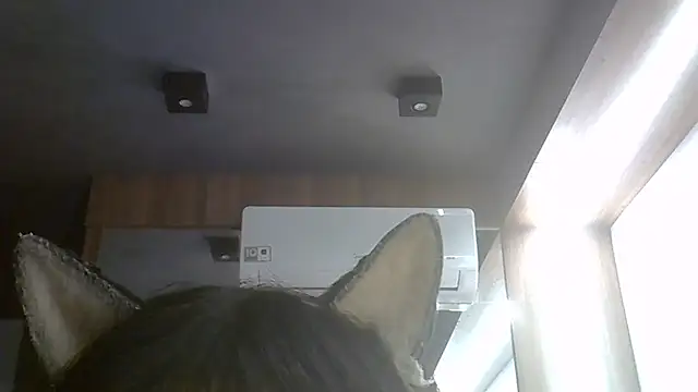 SkinnyKitten webcam