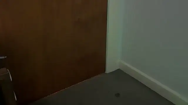 adelaide2026 webcam