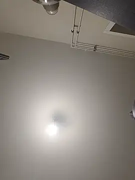 WildSweetheartXO