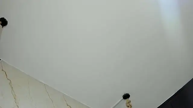 TiffanyMonrowHL webcam