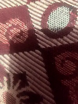 majorlazer77 (M young) - #beardy #blondes #blowjob #cam2cam #cheap-privates #cumshot #hd #indian #jerk-off-instruction #medium #mobile #small-audience #straight #young