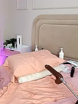 Liastarkk webcam