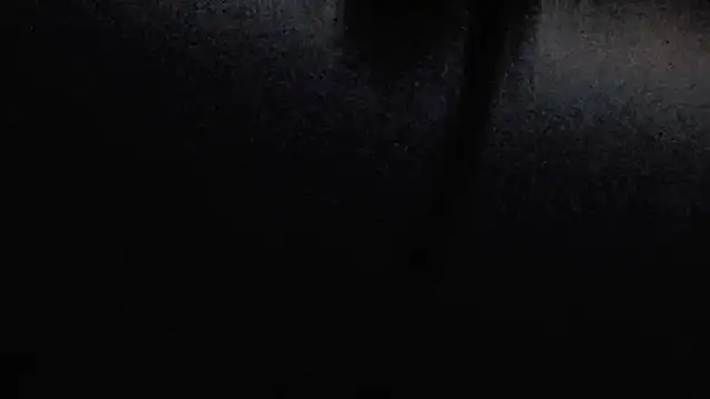 Vuitton webcam