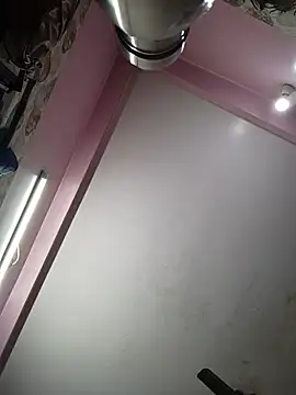 Ashley-Belth webcam