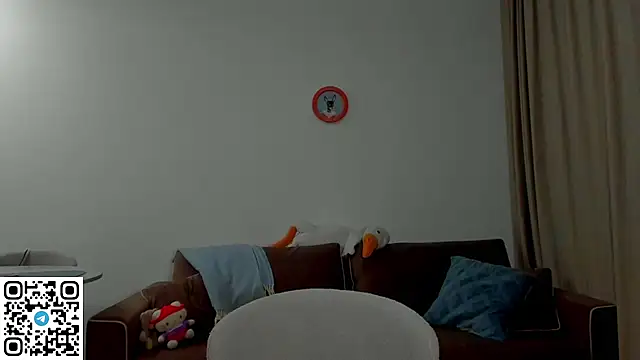 hon_bae webcam