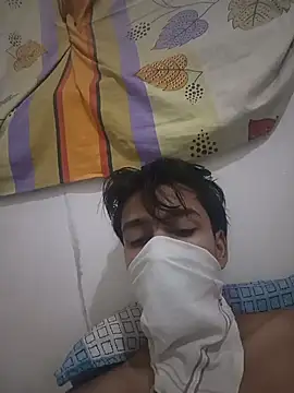 silverarmy5 webcam