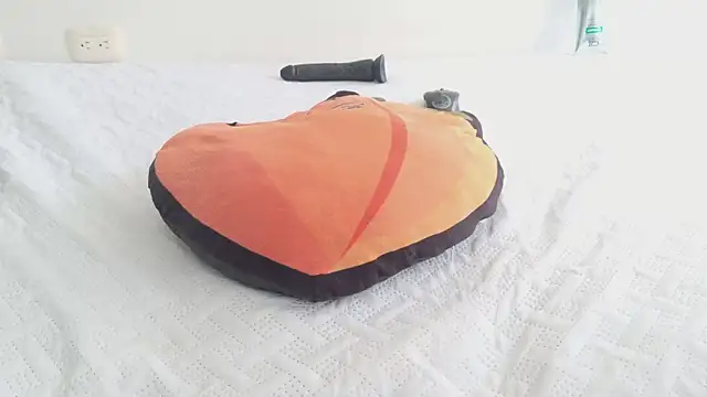 grey___27 webcam