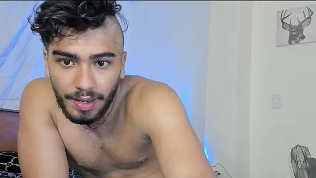 Franco_banderas webcam