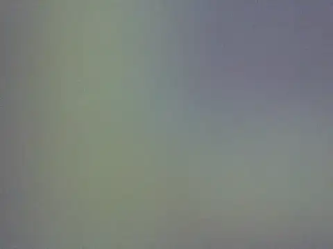 sweettafri webcam