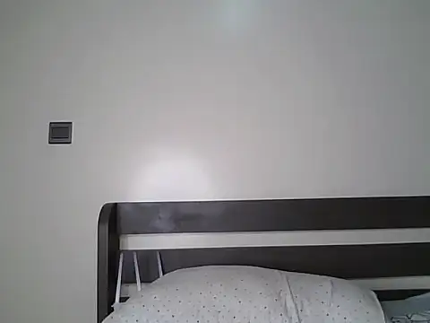 Alevic_ webcam
