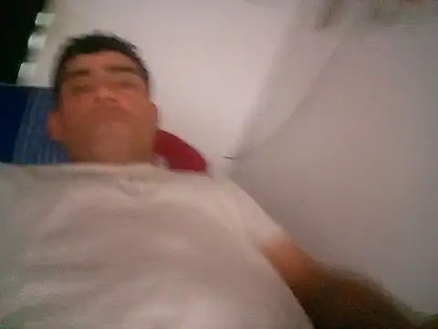 wa379 webcam