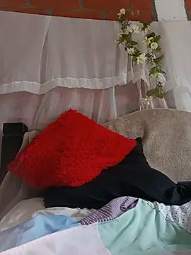 GingerMoon_ webcam