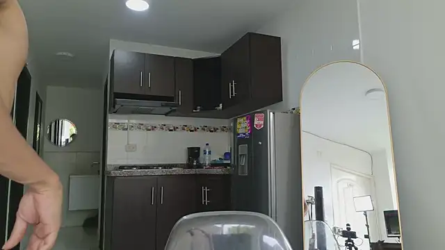 grey___27 webcam