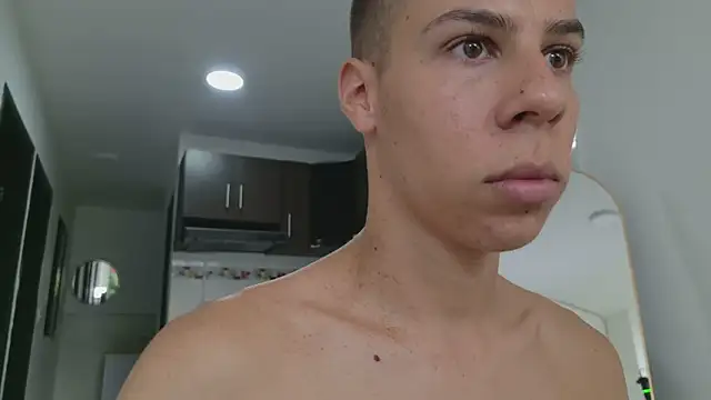 grey___27 webcam