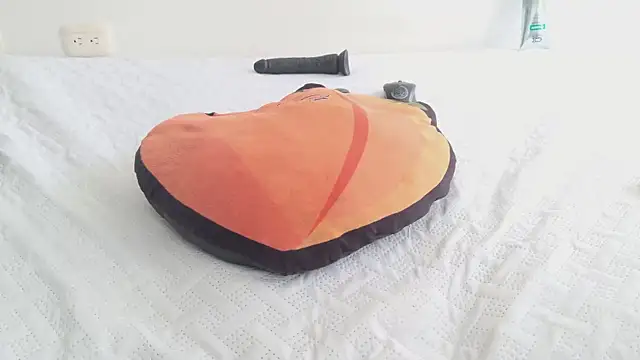 grey___27 webcam