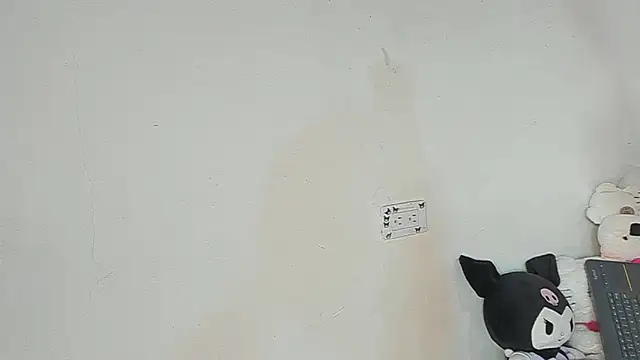 Eirlysx webcam