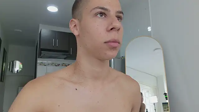 grey___27 webcam