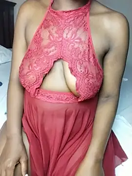 _zenvy webcam