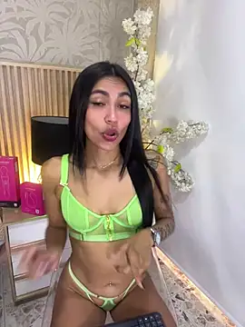 VegaSara webcam