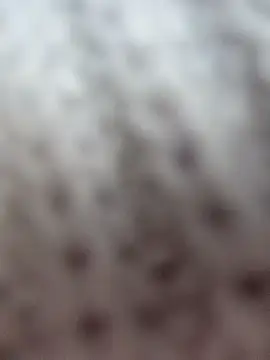 Vela_Carter webcam